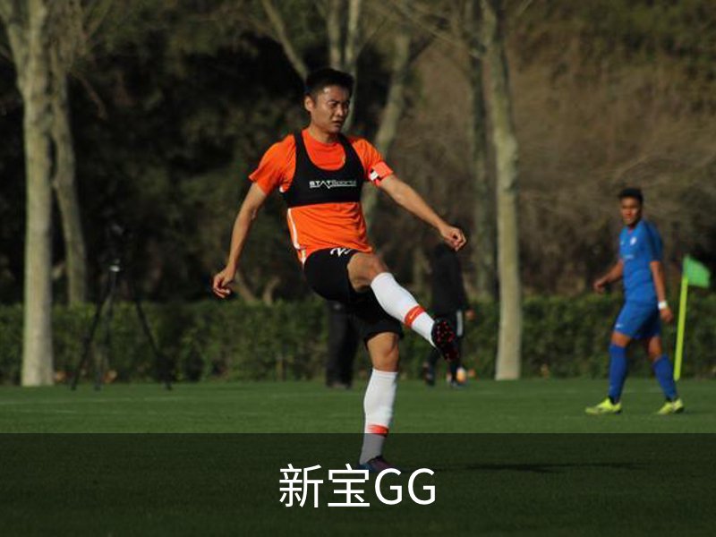 新宝GG介绍